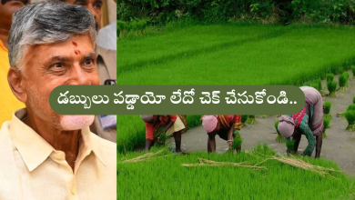 Annadata Sukhibhavva