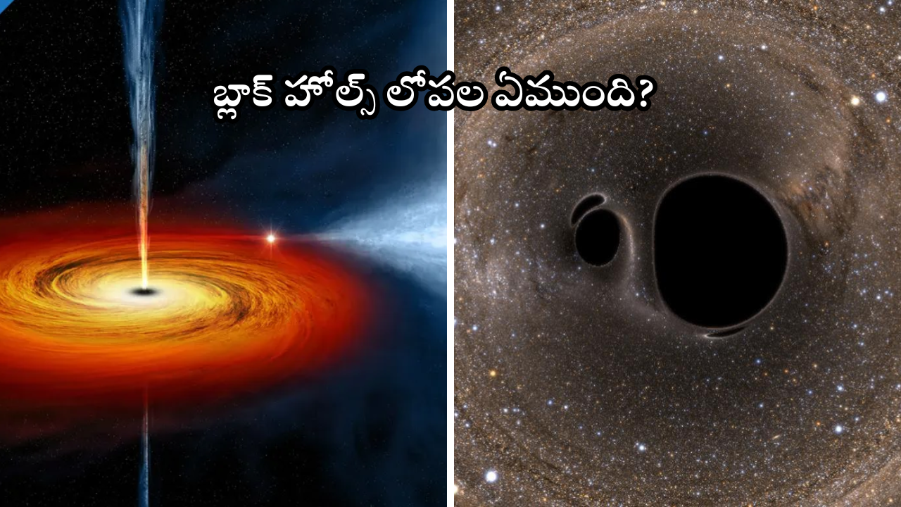 Black holes