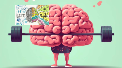 Brain gym