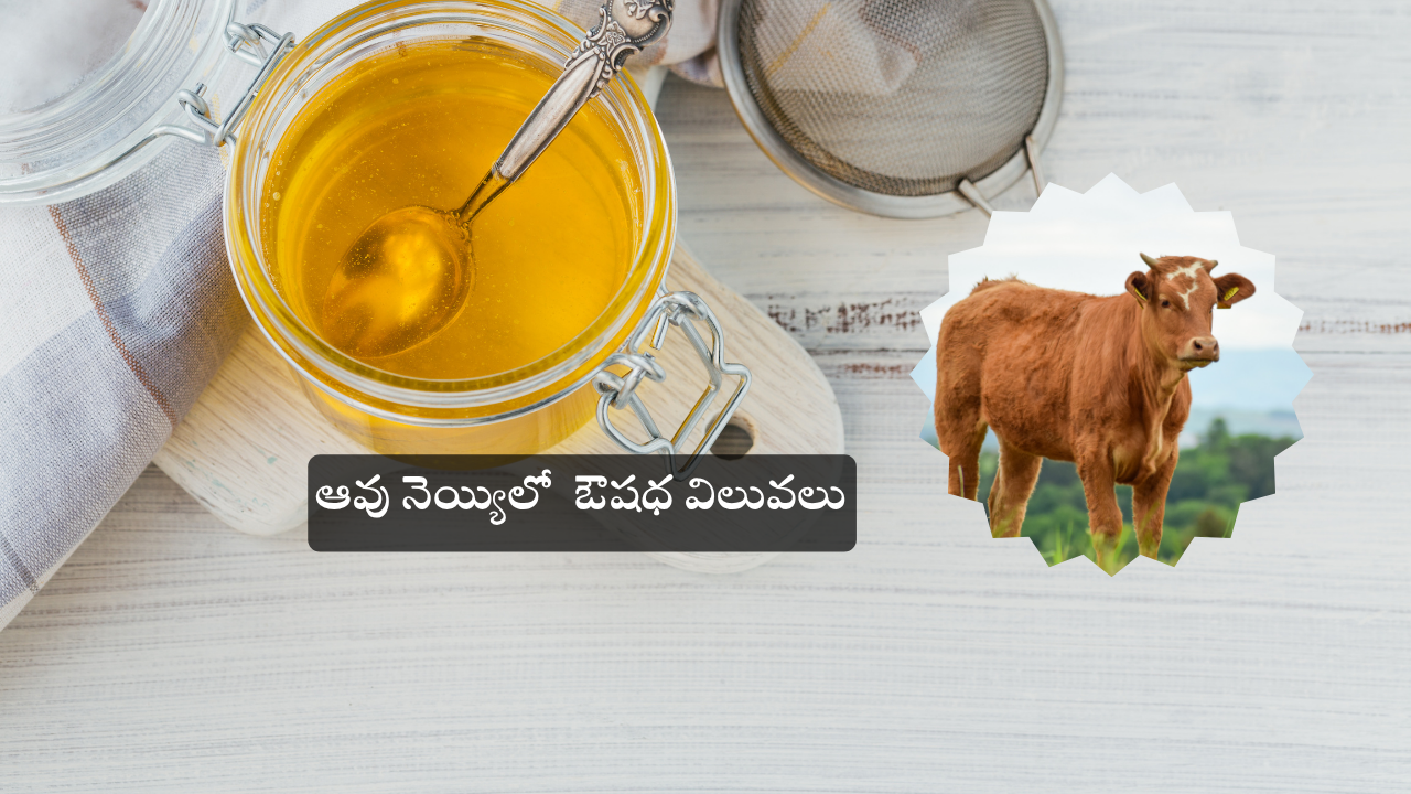 Cow Ghee