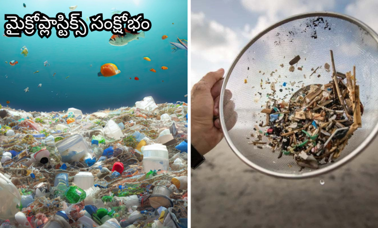 Plastic pollution