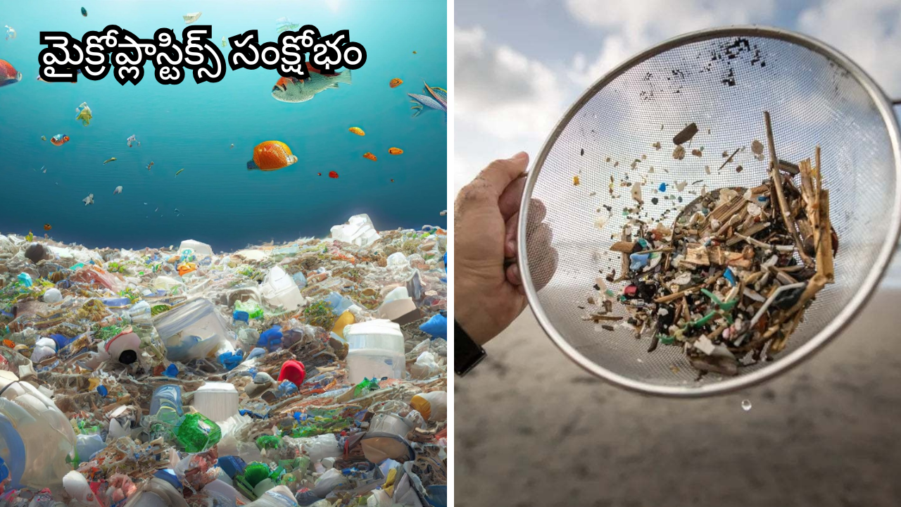 Plastic pollution