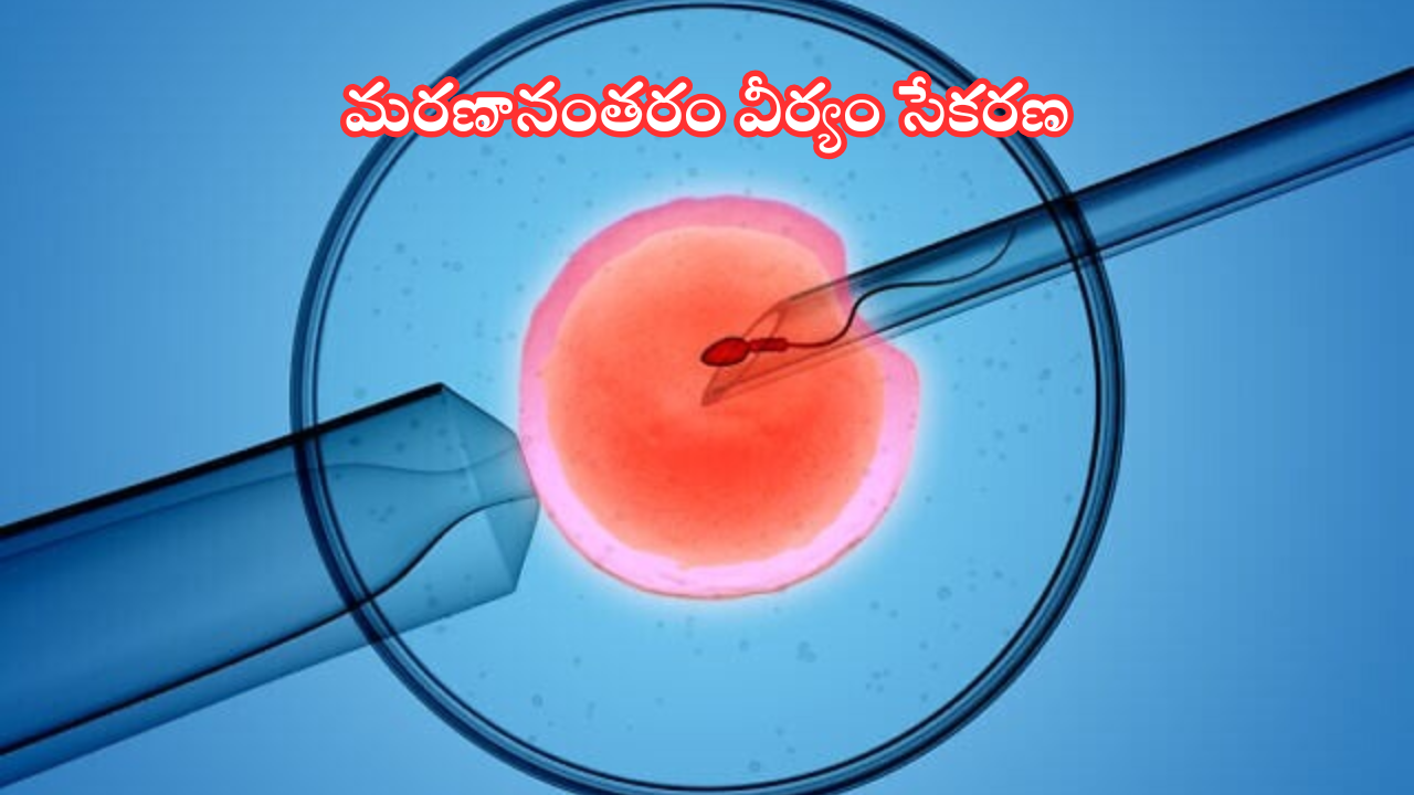 Sperm of dead people