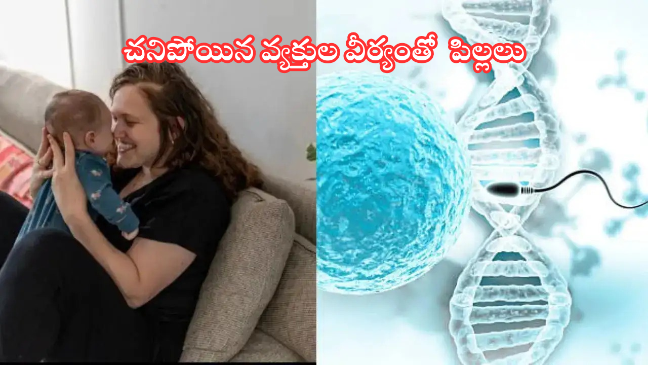 Sperm of dead people