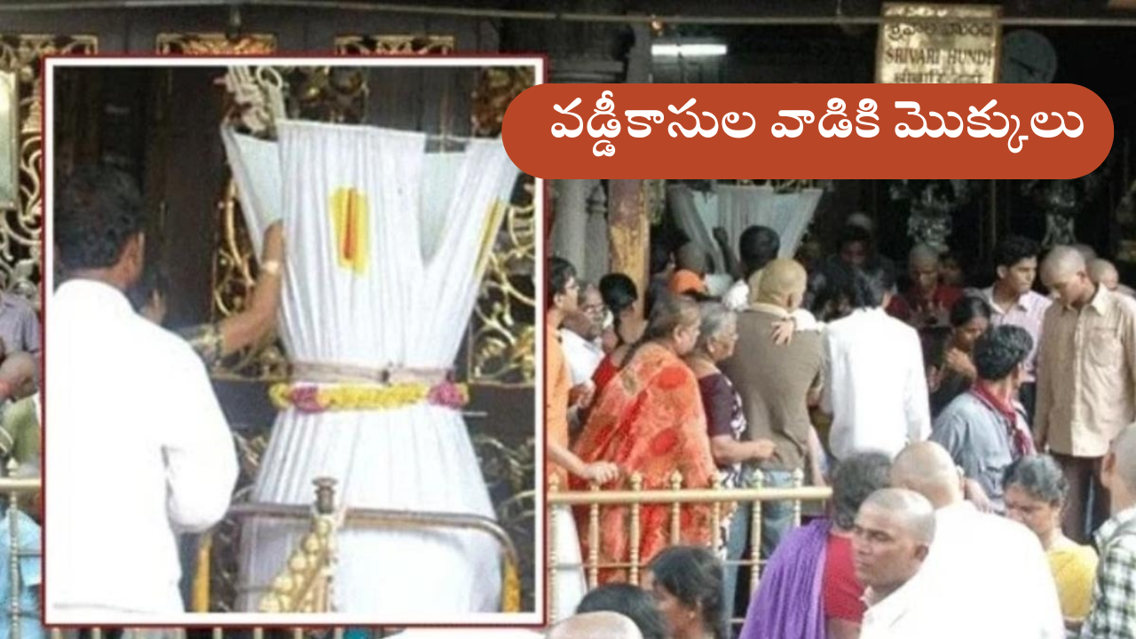 Tirumala Srivaru (1)