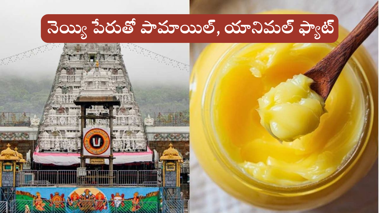 Tirumala laddu