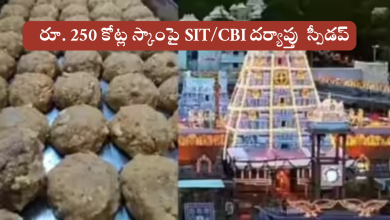 Tirumala laddu