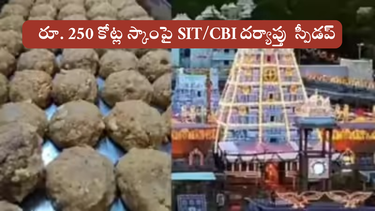Tirumala laddu