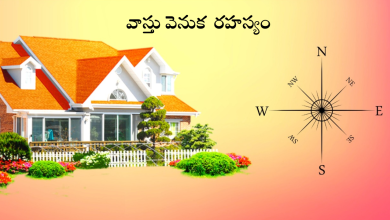 Vastu