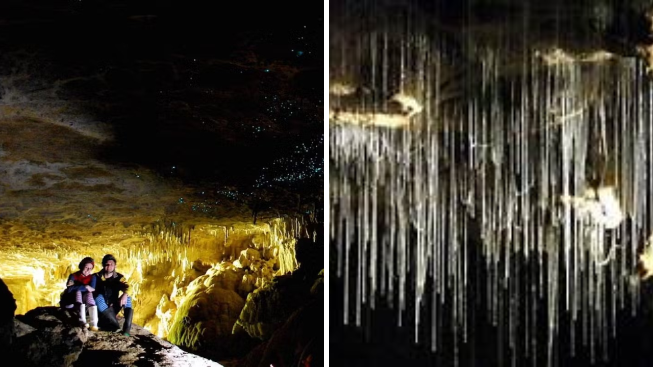 Glowworm Caves