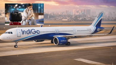 Indigo flight