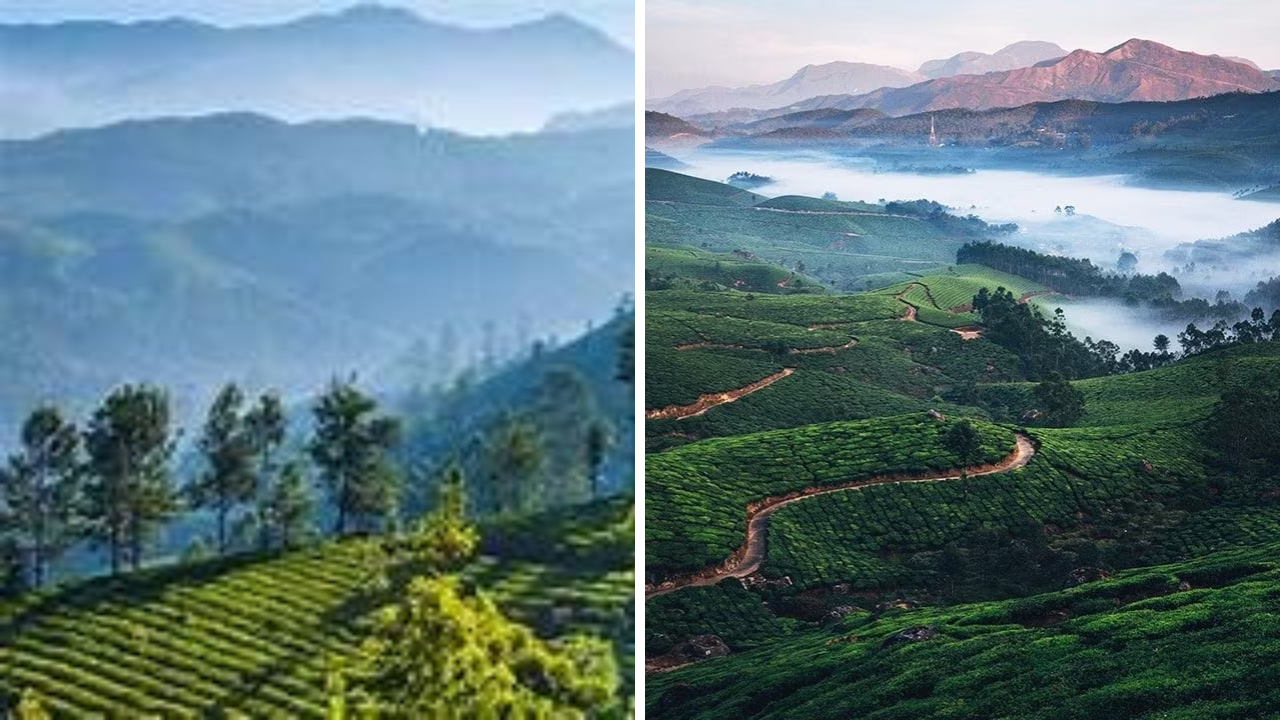 Munnar 